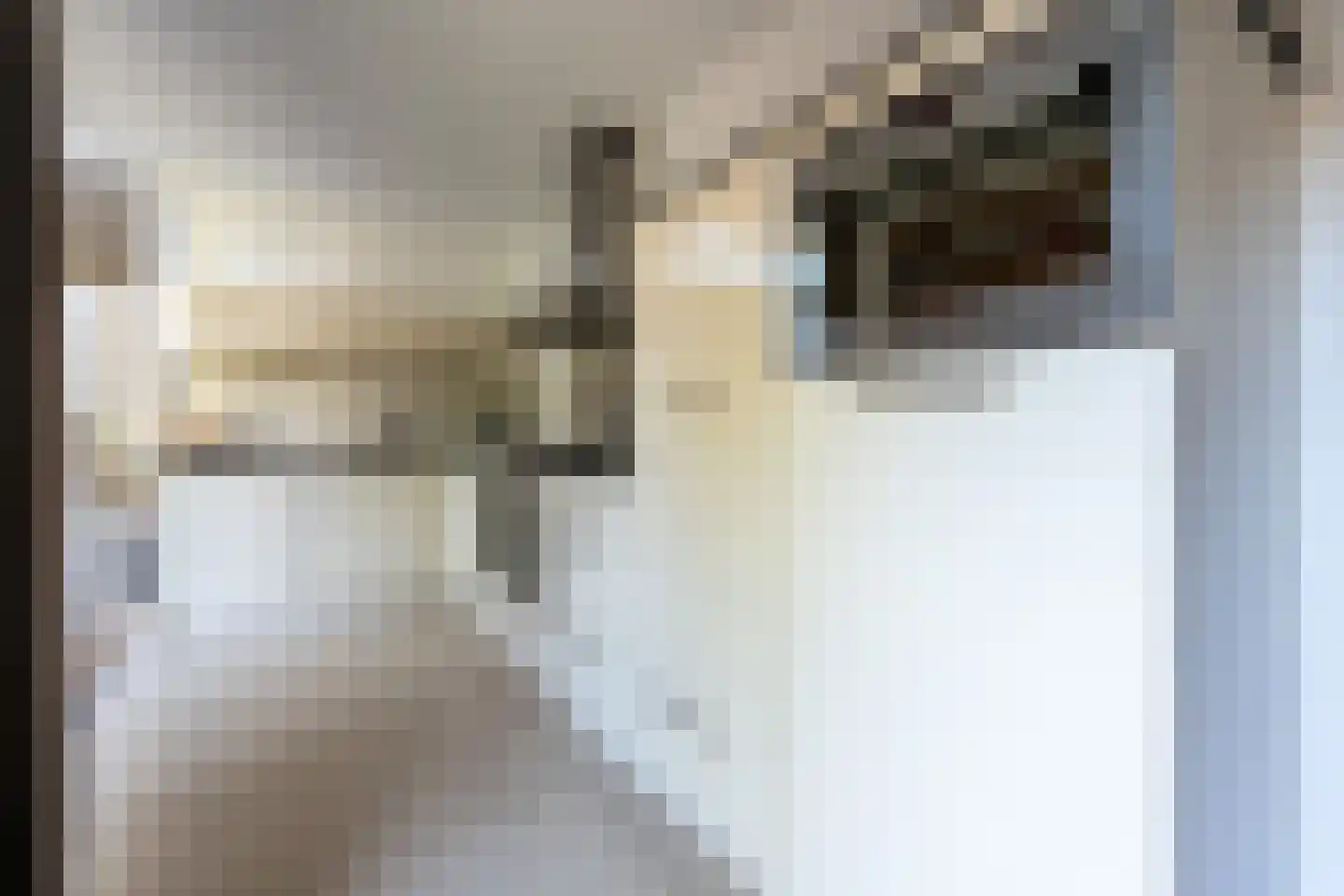 Nepveulaan 81 Zeist thumbnail 13