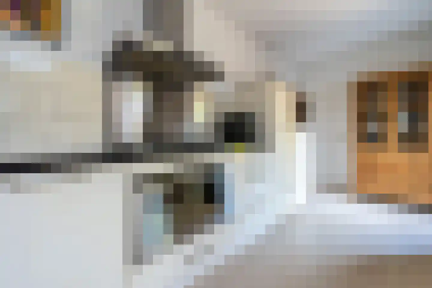 Nepveulaan 81 Zeist thumbnail 14