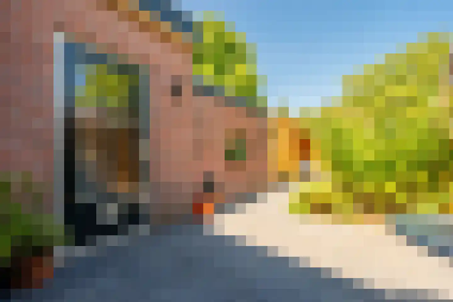 Nepveulaan 81 Zeist thumbnail 28