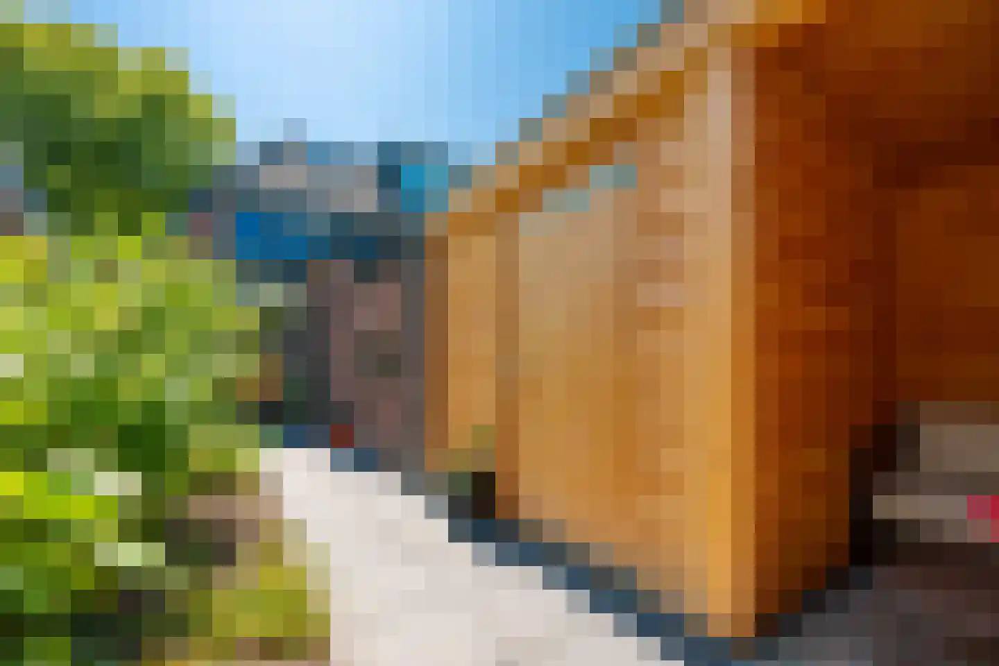 Nepveulaan 81 Zeist thumbnail 29