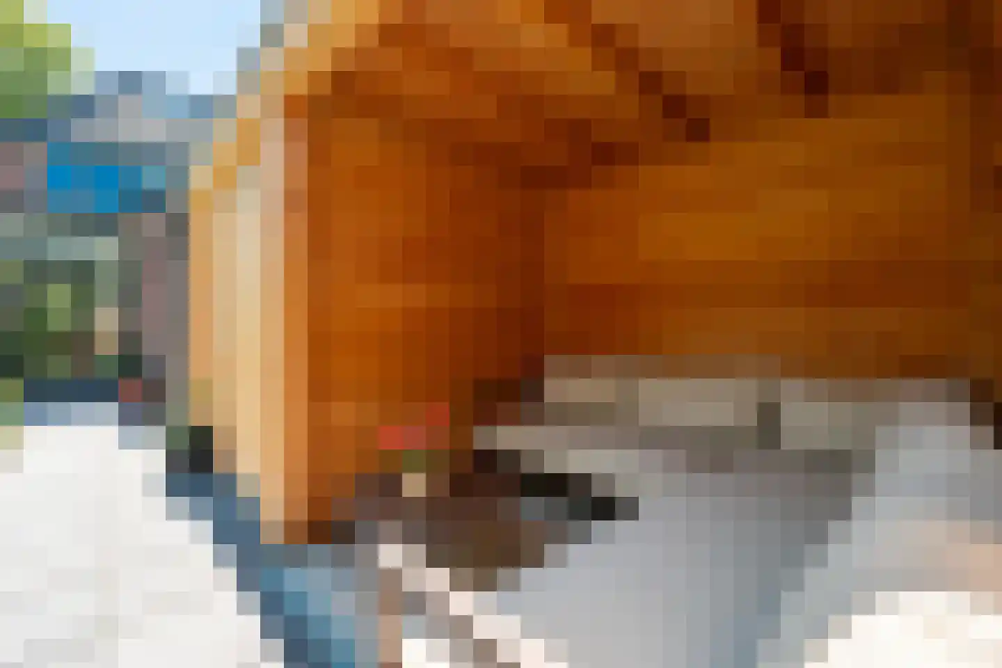 Nepveulaan 81 Zeist thumbnail 30