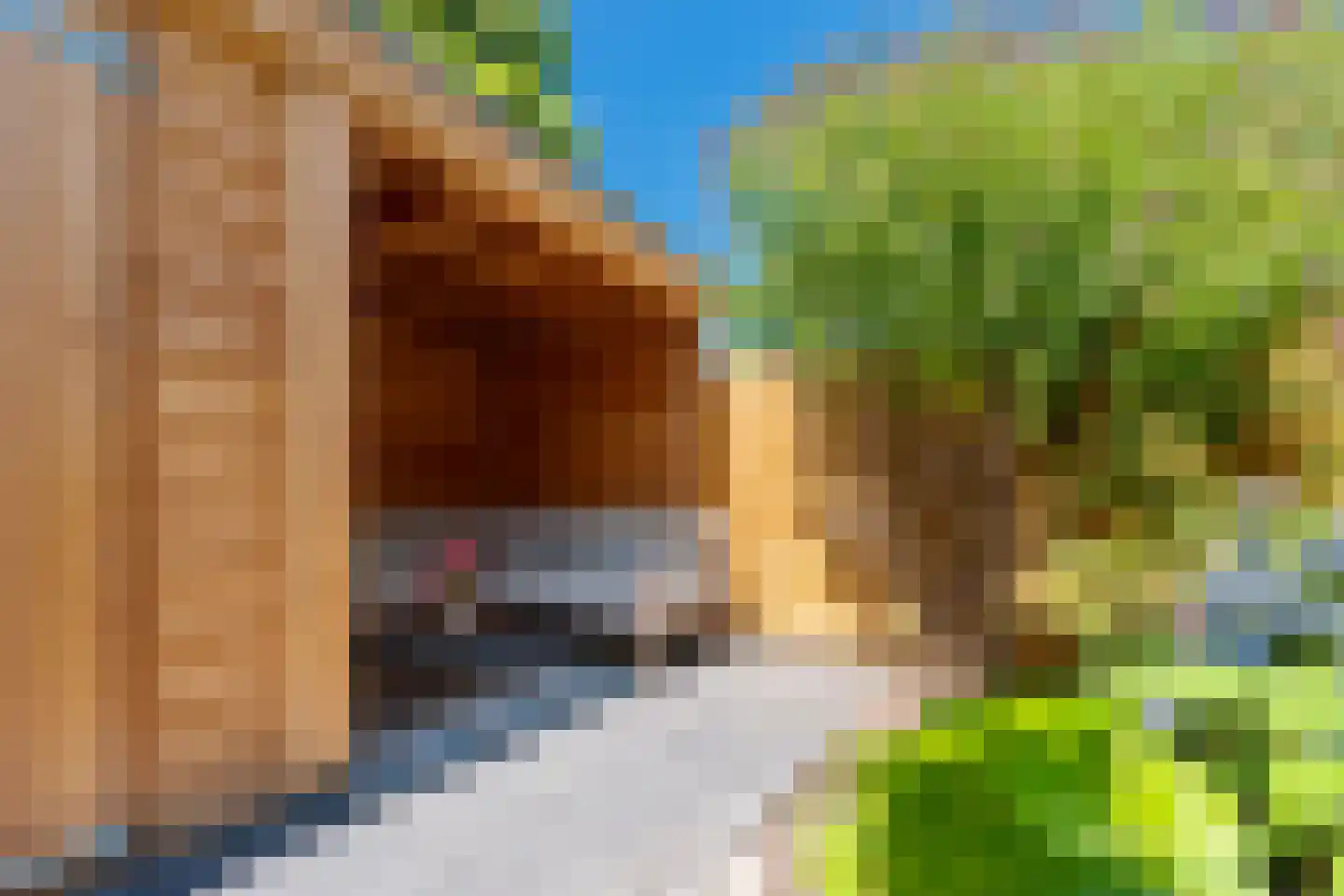 Nepveulaan 81 Zeist thumbnail 31