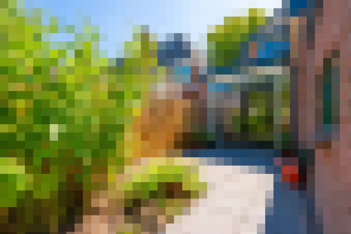 Nepveulaan 81 Zeist thumbnail 32
