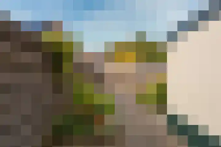 Nepveulaan 95 Zeist thumbnail 20