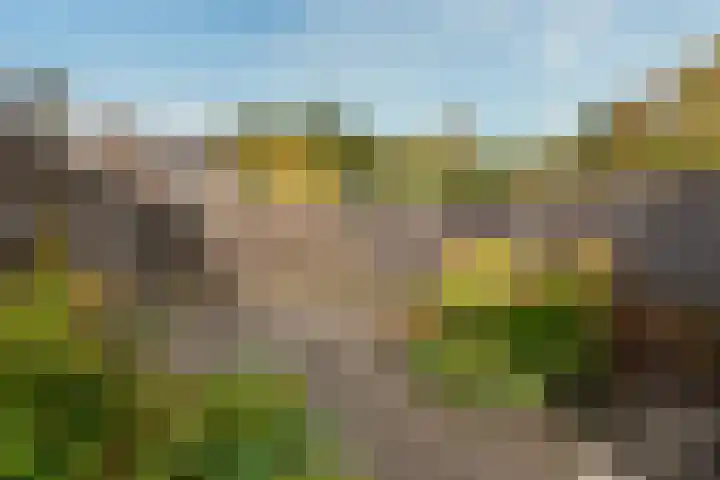 Nepveulaan 95 Zeist thumbnail 21