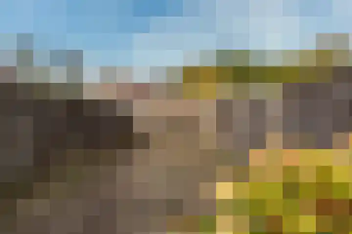 Nepveulaan 95 Zeist thumbnail 22