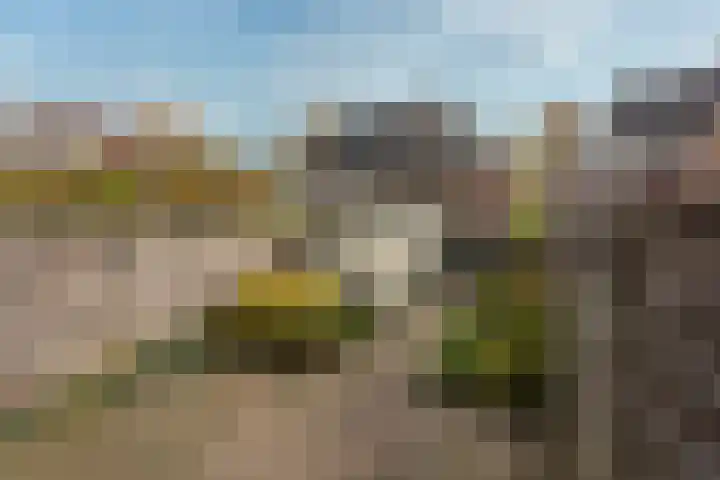 Nepveulaan 95 Zeist thumbnail 23