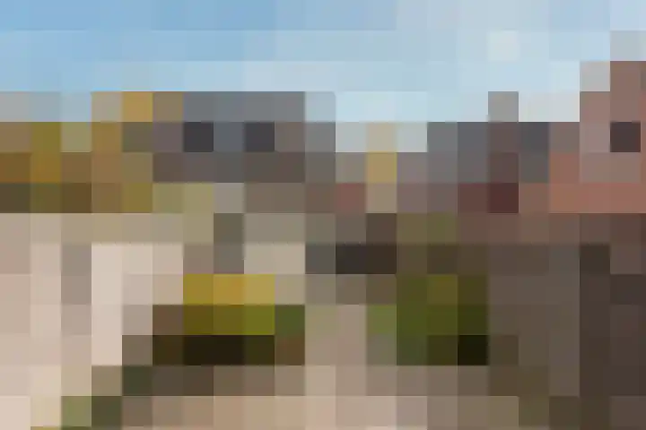 Nepveulaan 95 Zeist thumbnail 24