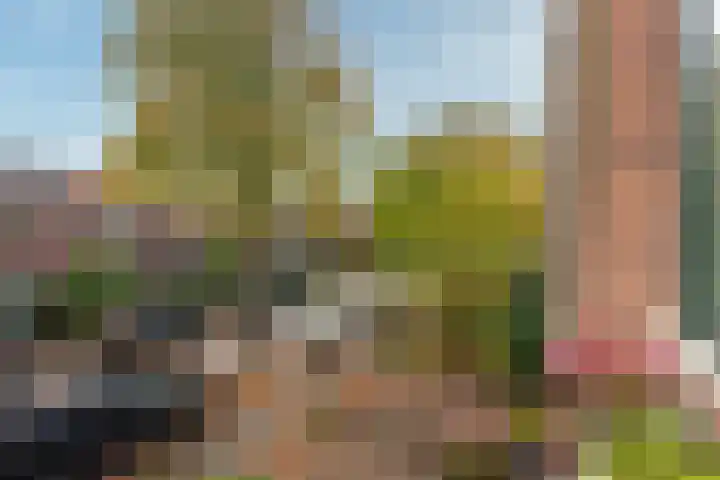 Nepveulaan 95 Zeist thumbnail 32