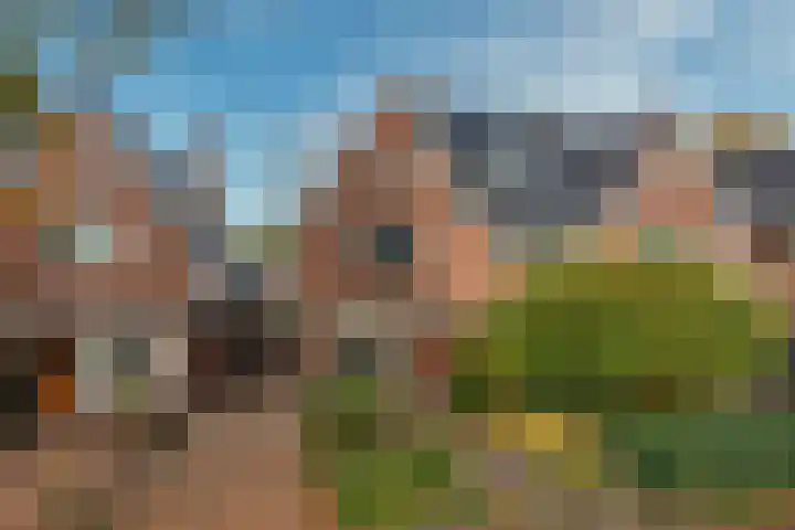 Nepveulaan 95 Zeist thumbnail 4