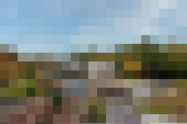 Nepveulaan 95 Zeist thumbnail 43