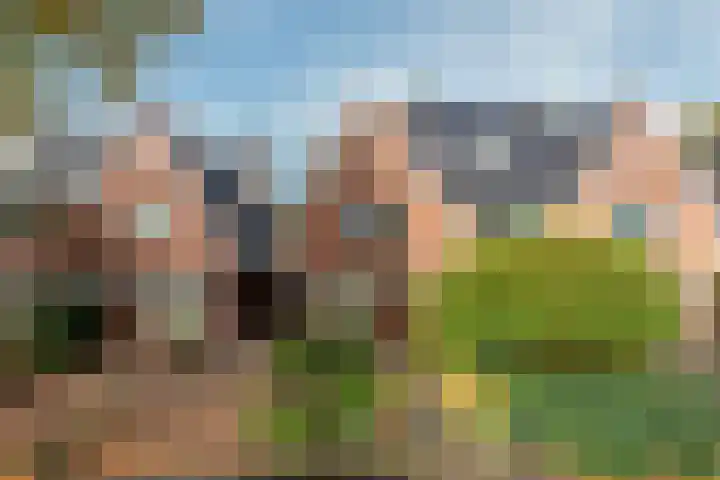 Nepveulaan 95 Zeist thumbnail 45