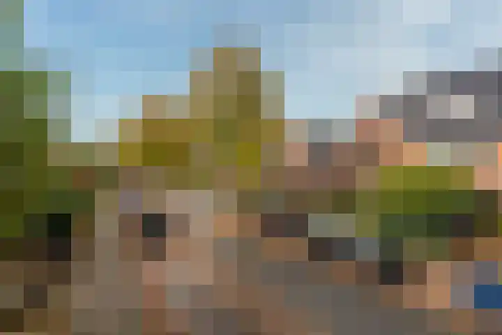 Nepveulaan 95 Zeist thumbnail 46
