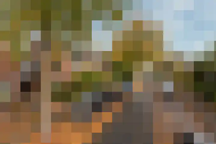 Nepveulaan 95 Zeist thumbnail 47