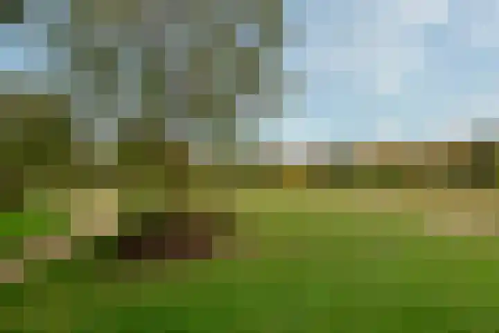 Nepveulaan 95 Zeist thumbnail 48
