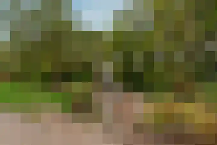 Nepveulaan 95 Zeist thumbnail 49