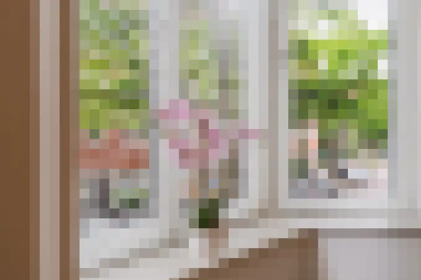 Nepveustraat 14 3 Amsterdam thumbnail 13
