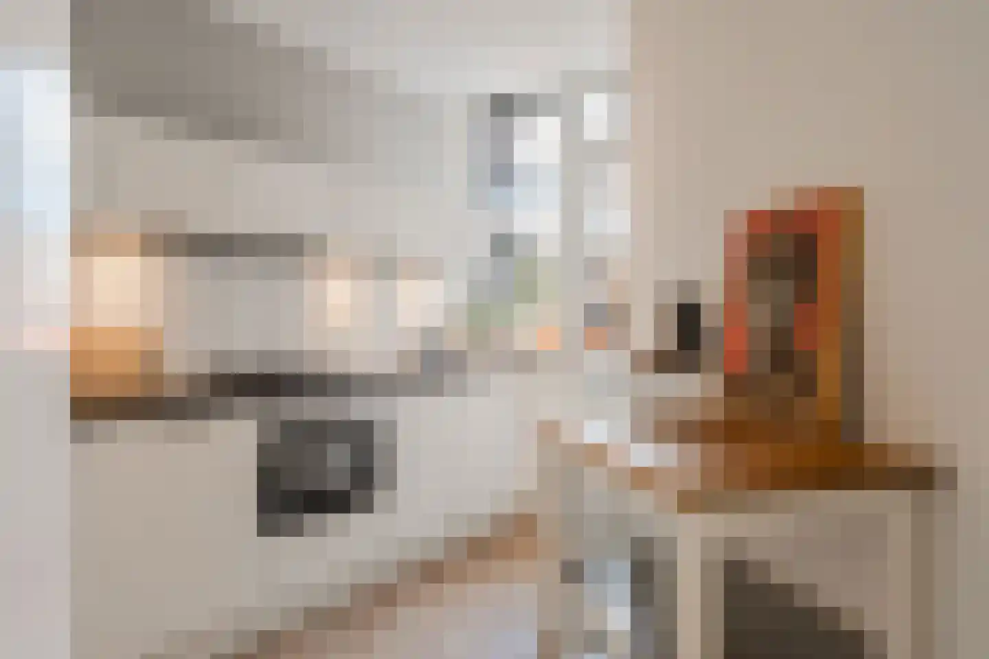 Nepveustraat 14 3 Amsterdam thumbnail 25