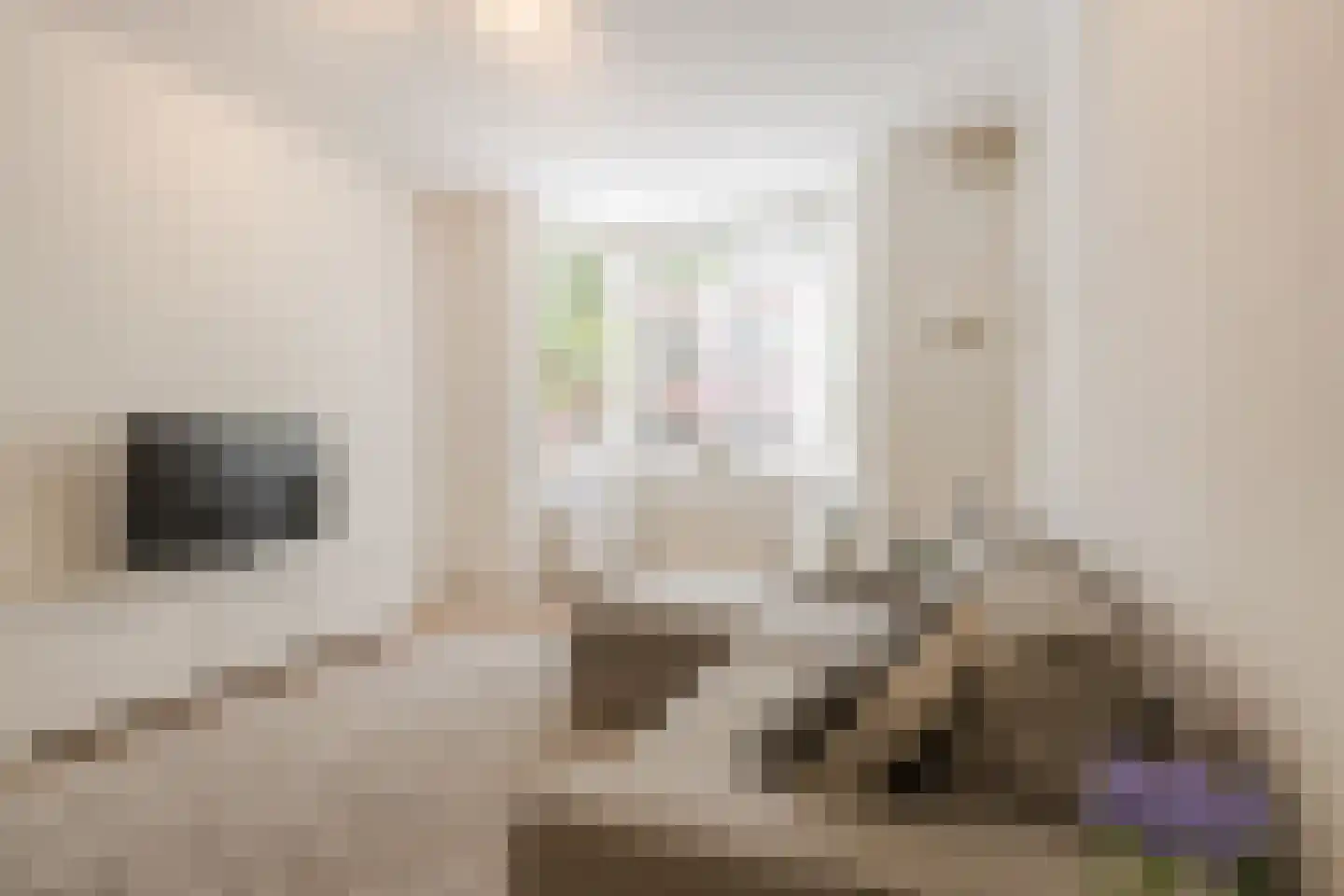 Nepveustraat 14 3 Amsterdam thumbnail 9