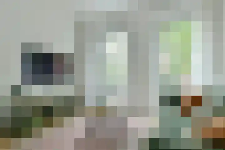 Nepveustraat 8 2 Amsterdam thumbnail 4
