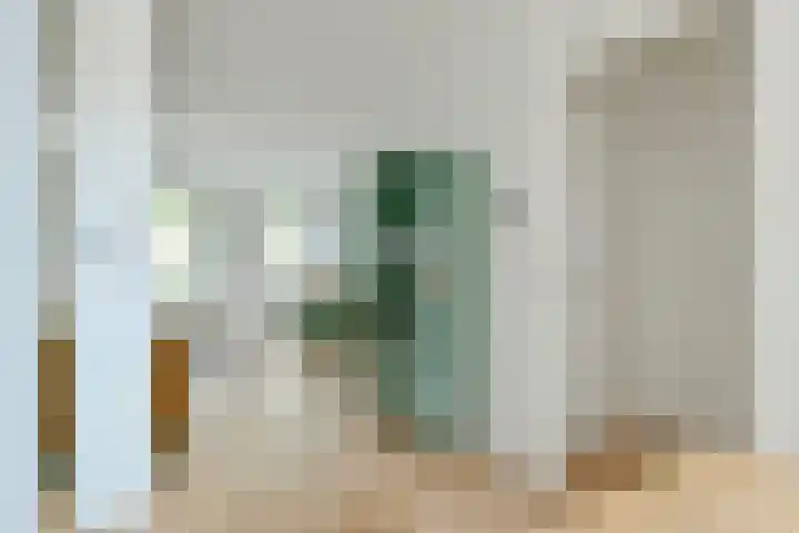 Nepveustraat 8 2 Amsterdam thumbnail 5