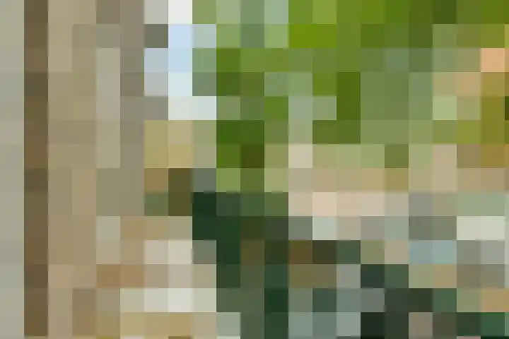 Nepveustraat 8 2 Amsterdam thumbnail 7