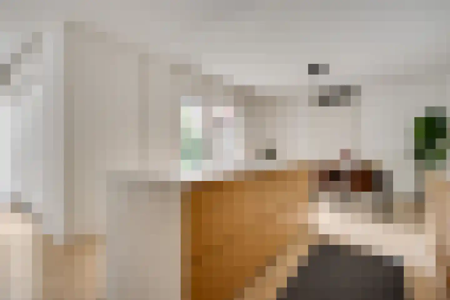 Neranushof 18 Weert thumbnail 16