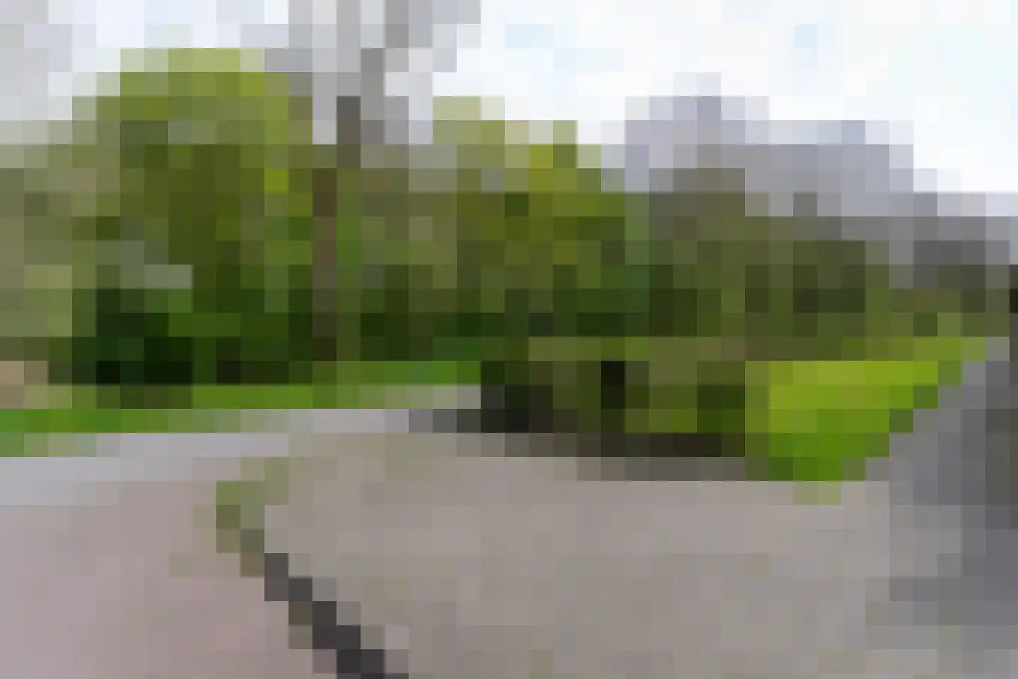 Nereusburg 91 Nieuwegein thumbnail 31
