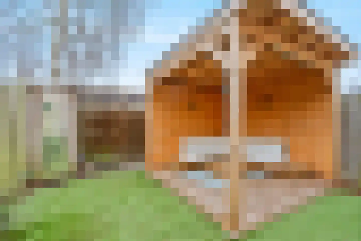 Nereusburg 94 Nieuwegein thumbnail 16