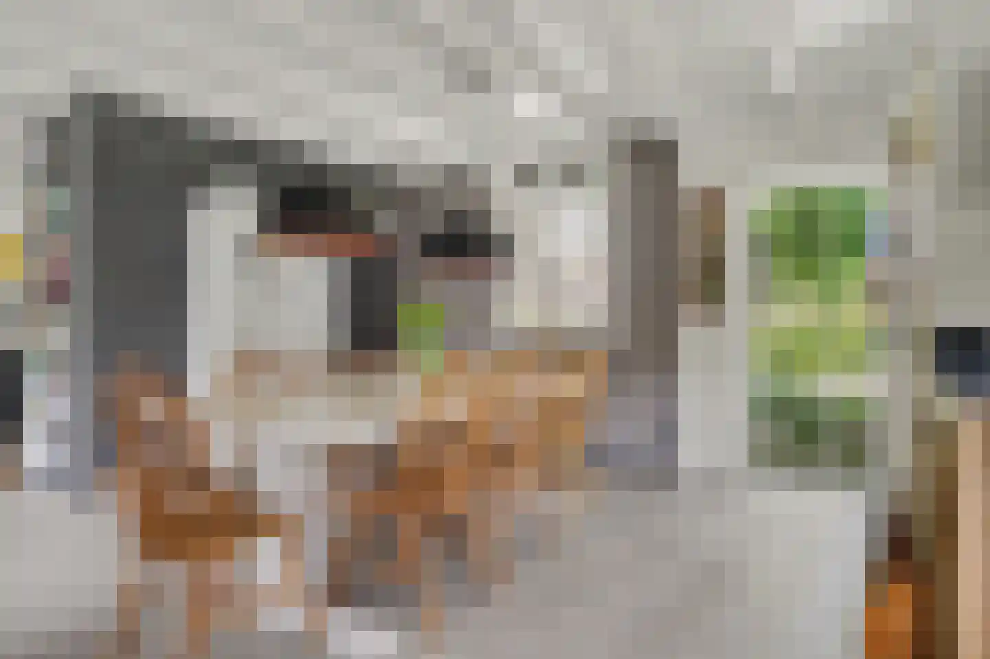 Nerhovensestraat 17 Gilze thumbnail 18