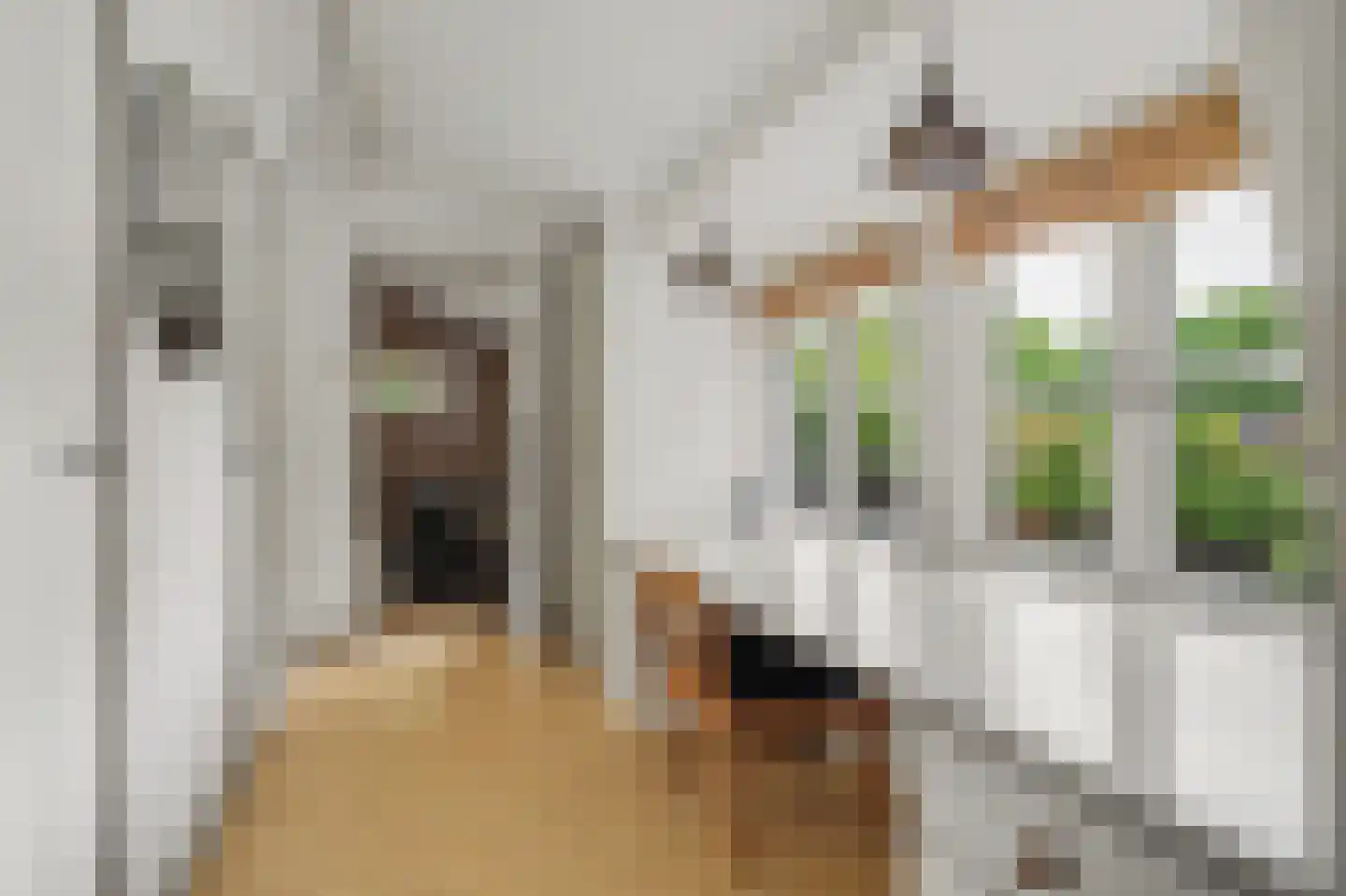 Nerhovensestraat 17 Gilze thumbnail 35