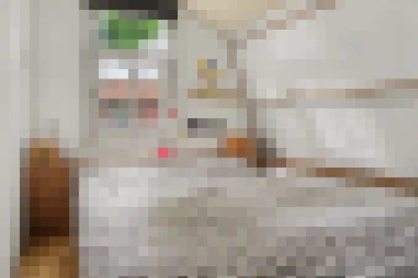 Nerhovensestraat 17 Gilze thumbnail 36