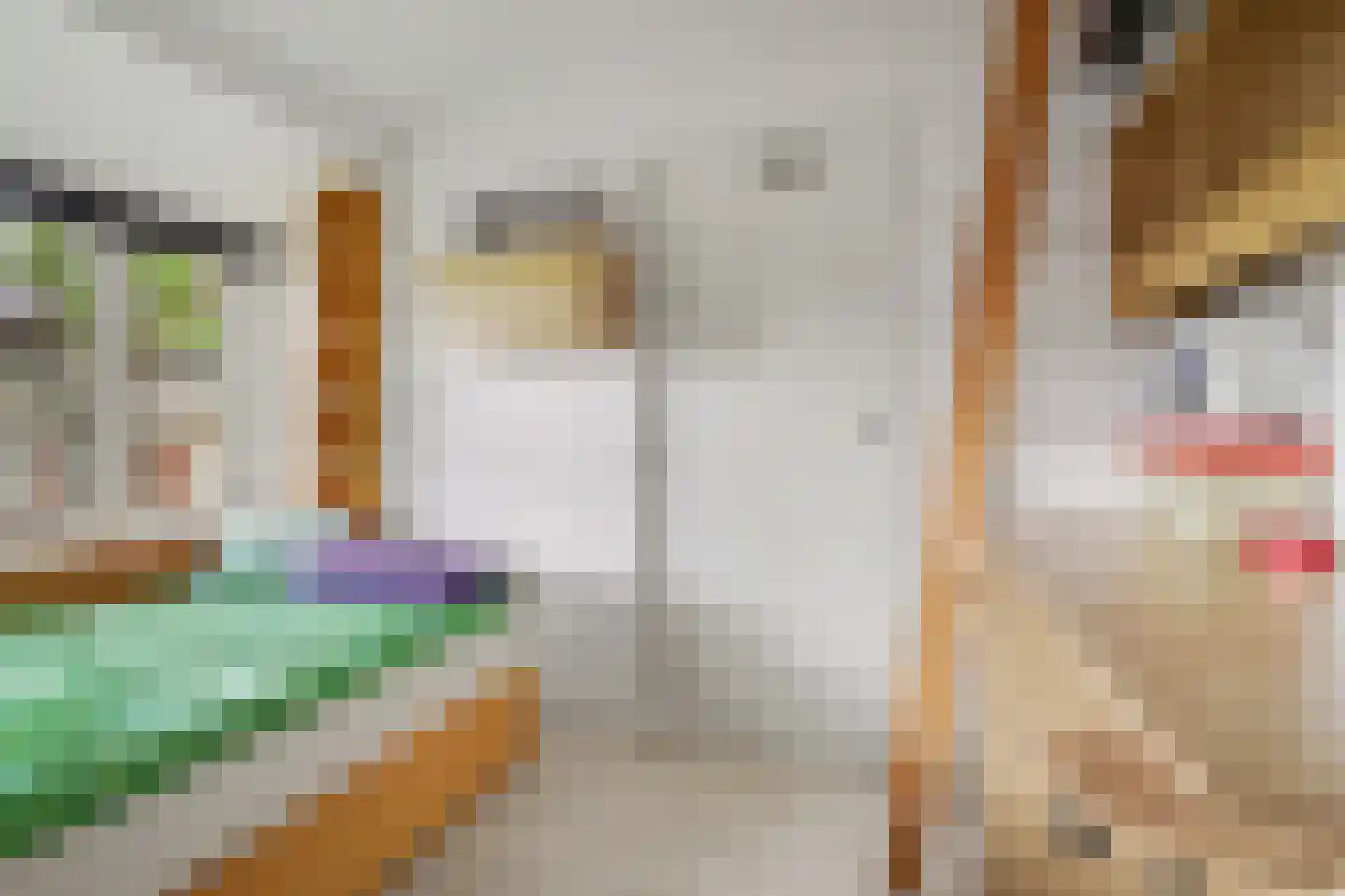 Nerhovensestraat 17 Gilze thumbnail 39