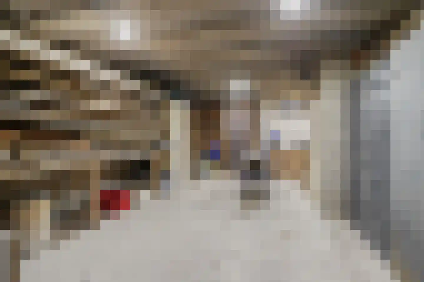 Nerhovensestraat 17 Gilze thumbnail 50