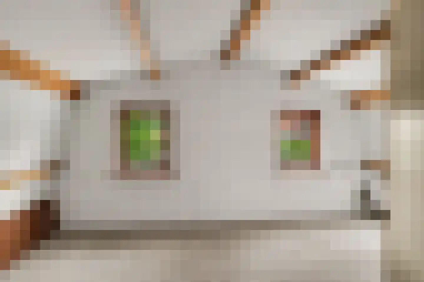 Nerhovensestraat 17 Gilze thumbnail 53