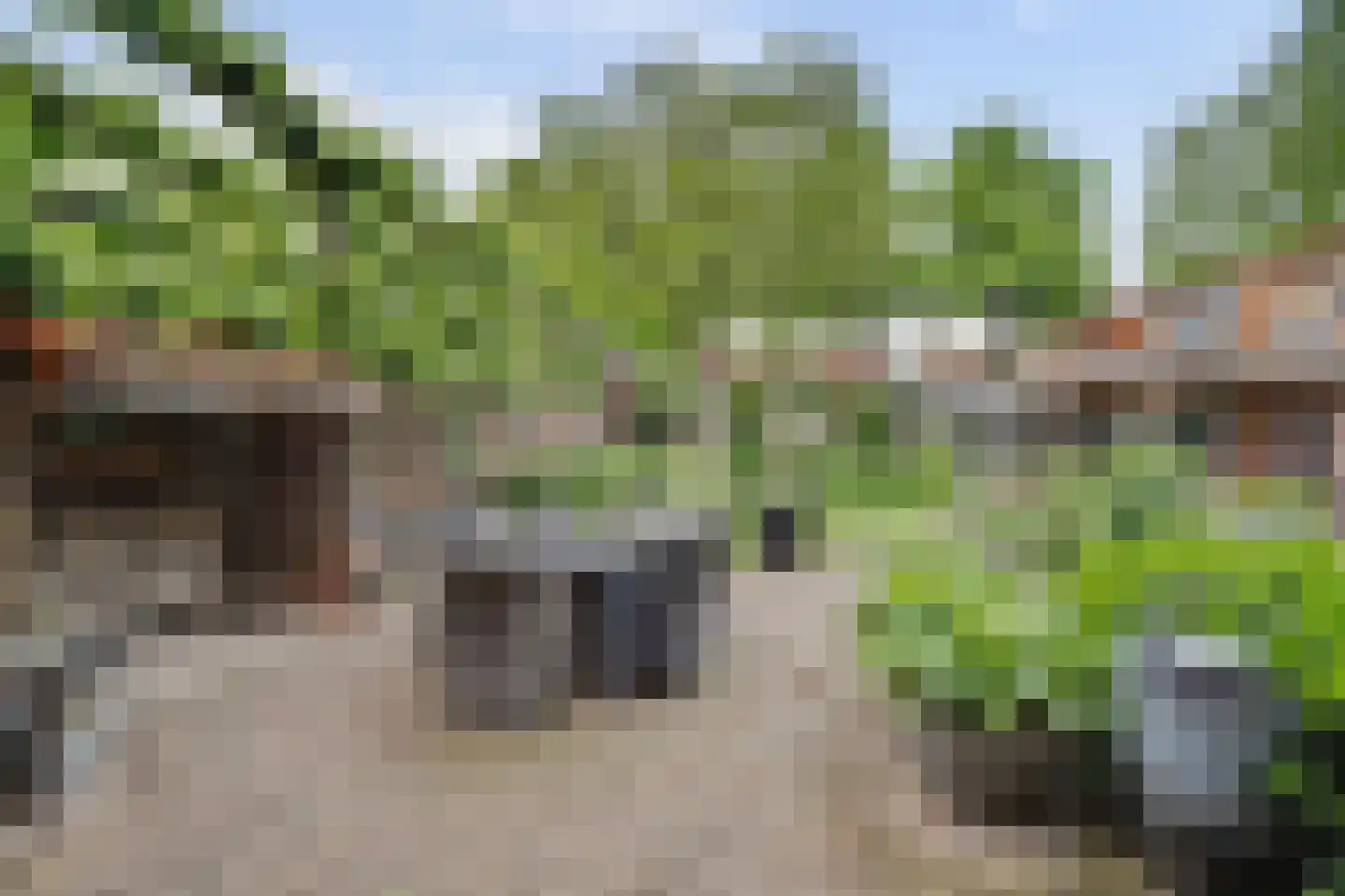 Nerhovensestraat 17 Gilze thumbnail 56