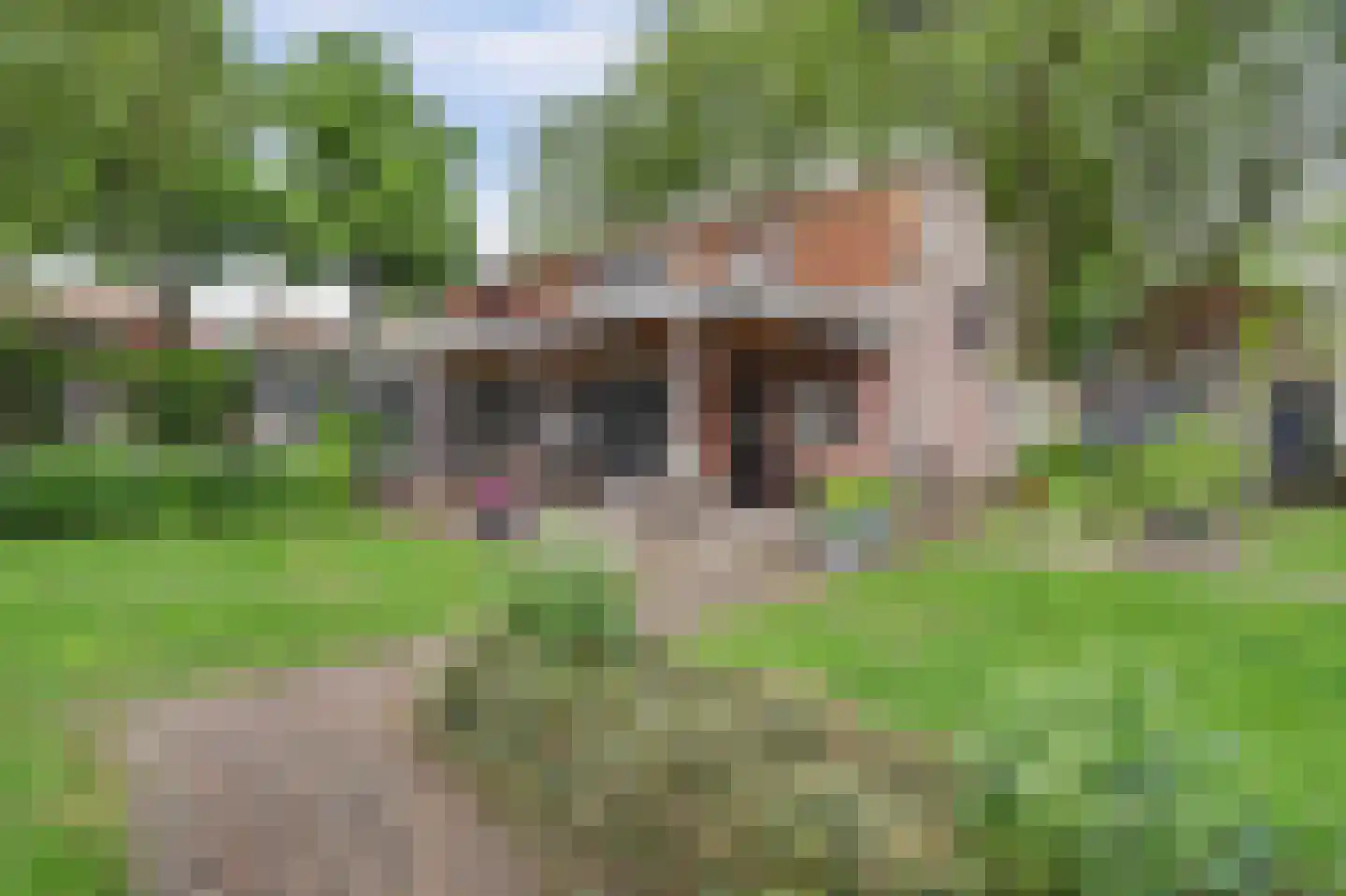 Nerhovensestraat 17 Gilze thumbnail 7