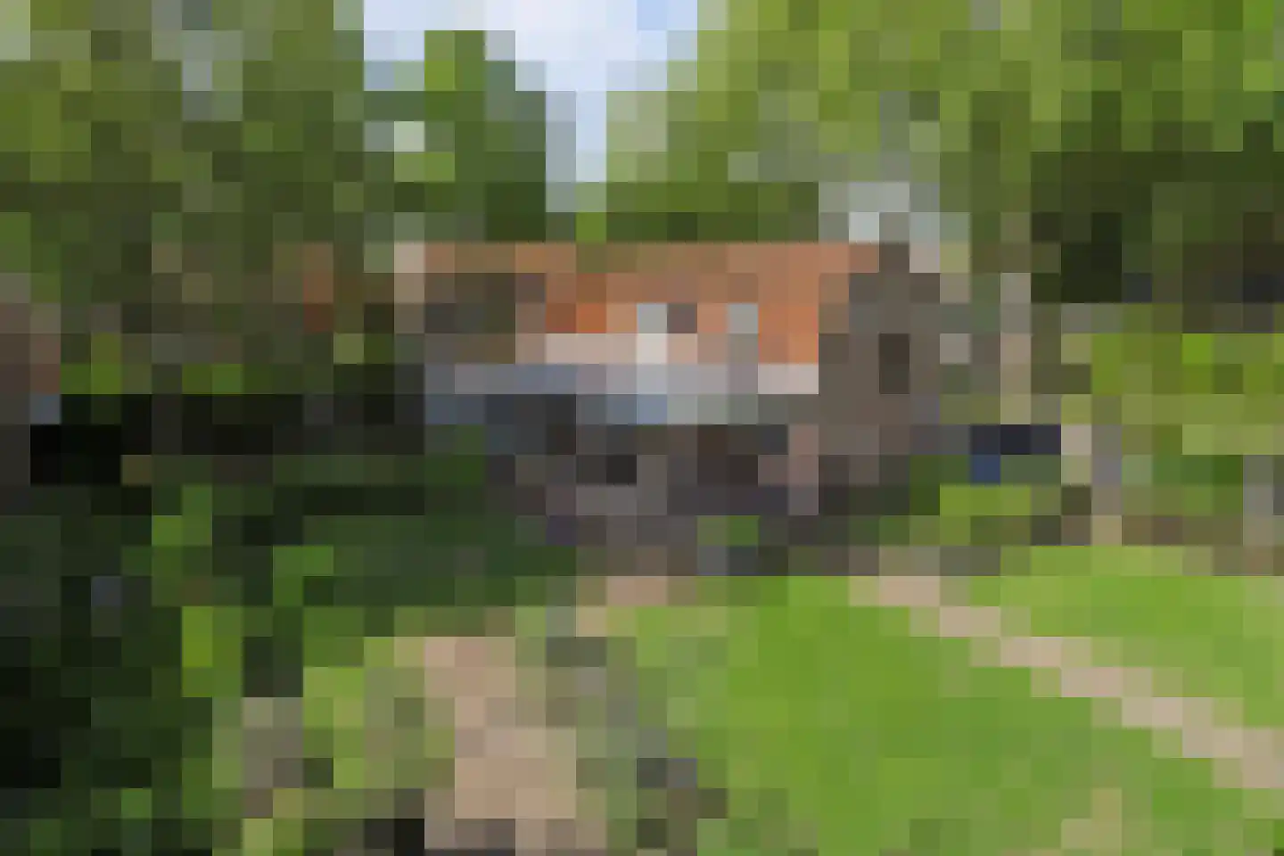 Nerhovensestraat 17 Gilze thumbnail 72