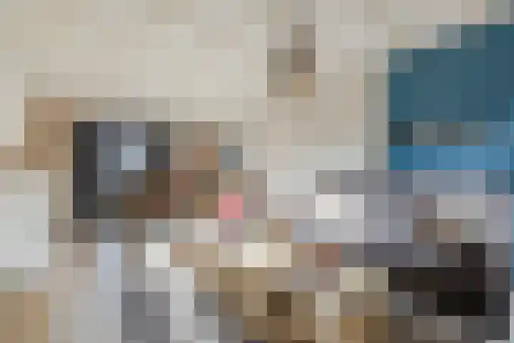 Nerhovensestraat 30 Gilze thumbnail 10