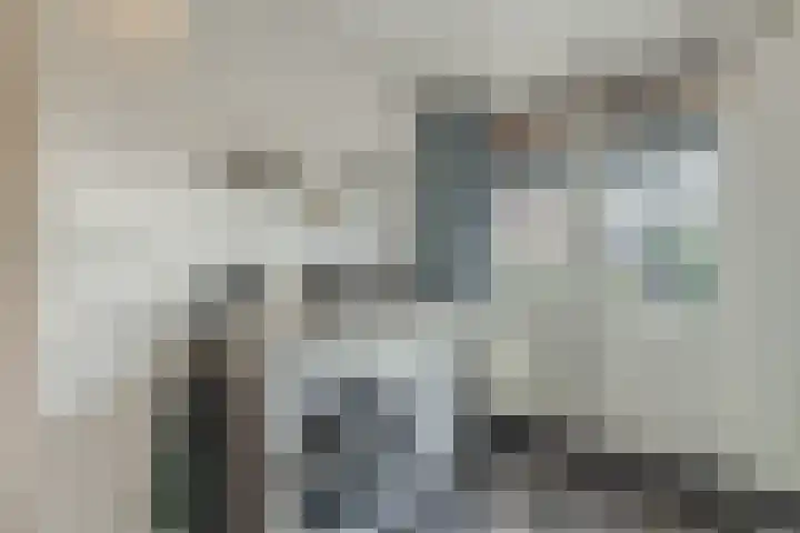 Nerhovensestraat 30 Gilze thumbnail 21