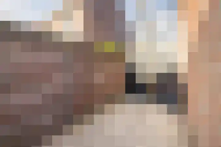 Nerhovensestraat 30 Gilze thumbnail 31