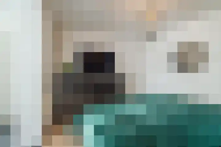 Nerhovensestraat 30 Gilze thumbnail 37