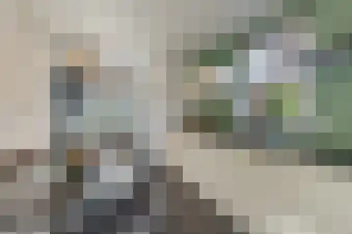 Nerhovensestraat 30 Gilze thumbnail 4