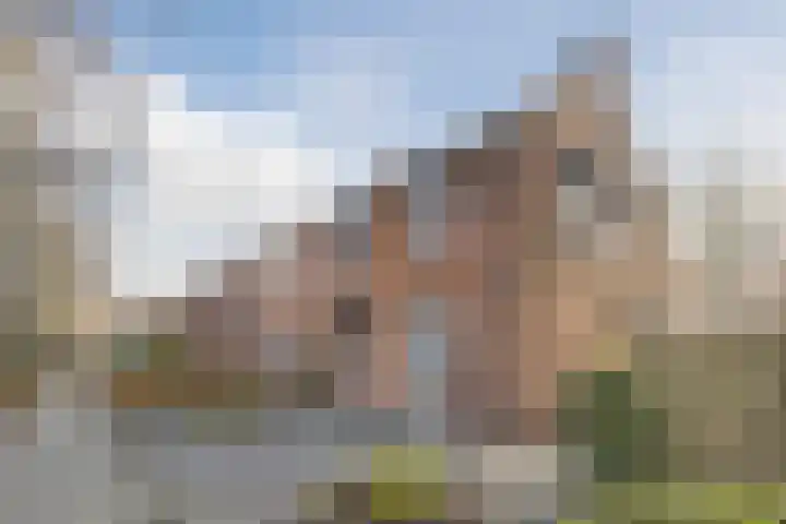 Nerhovensestraat 30 Gilze thumbnail 5