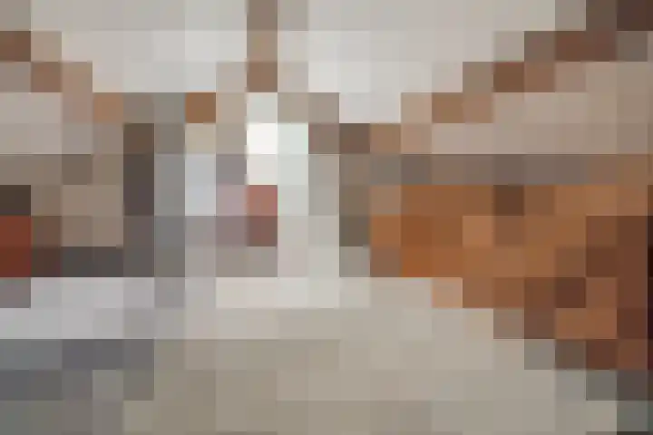 Nerhovensestraat 30 Gilze thumbnail 51
