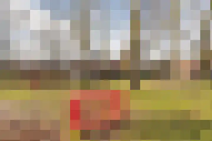 Nerhovensestraat 30 Gilze thumbnail 53