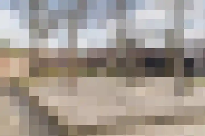 Nerhovensestraat 30 Gilze thumbnail 54
