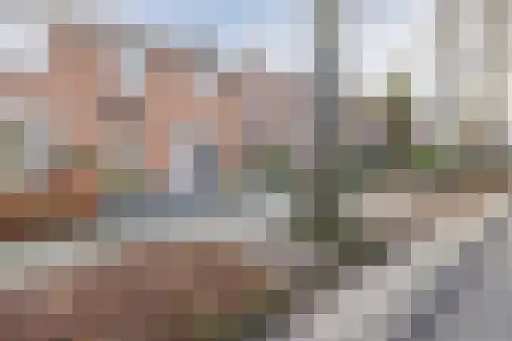 Nerhovensestraat 30 Gilze thumbnail 55