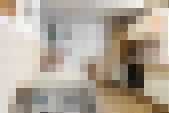 Nerhovensestraat 31 Gilze thumbnail 15