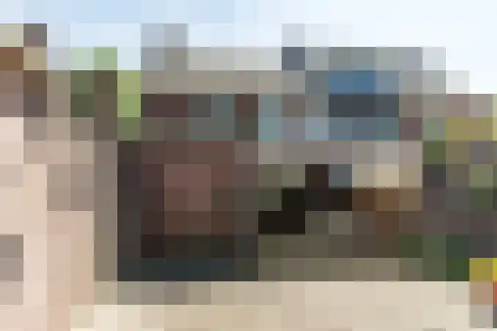 Nerhovensestraat 31 Gilze thumbnail 20